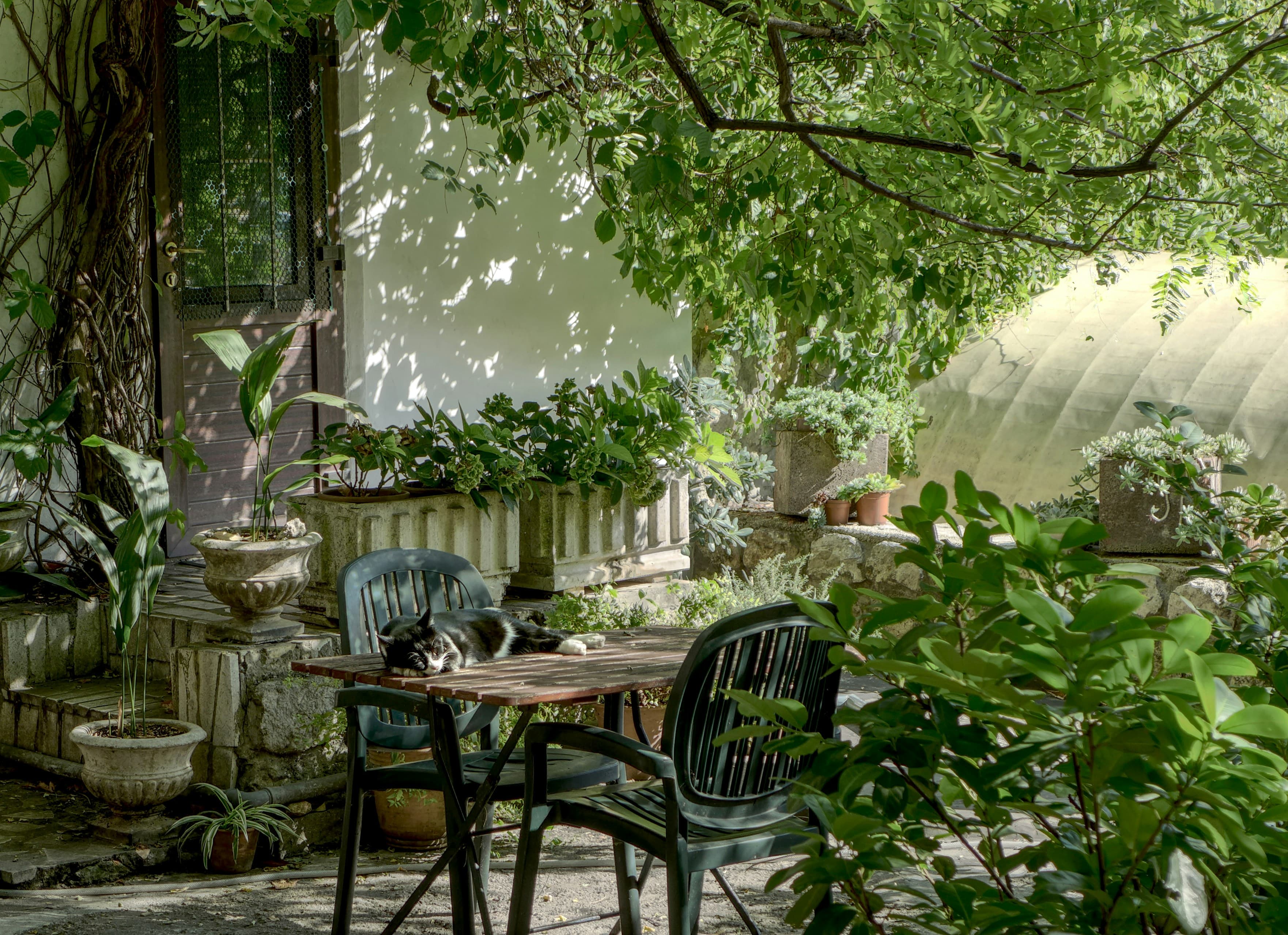 Garden Furniture